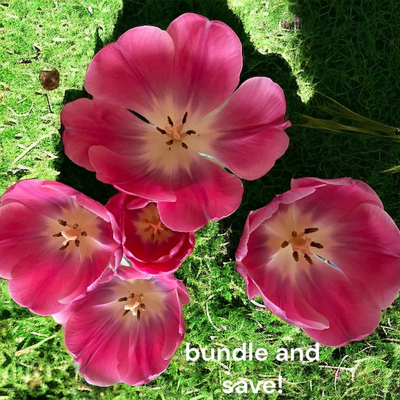 Bundle up your likes for a great offer!! - Picture 1 of 2